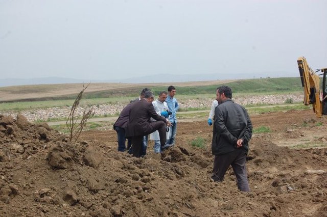 Muş'ta belediyenin yaptıracağı yeni hayvan pazarının kazısı sırasında bir kadına ait olduğu tahmin edilen ve başında kan lekesi olan bir kafatası bulundu.