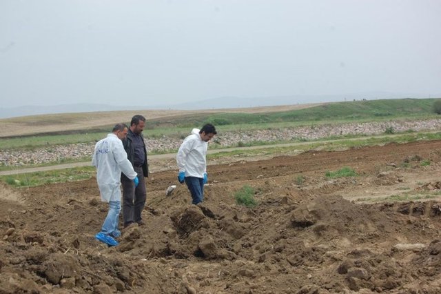 Müteahhit firmanın bugün yaptığı kazı çalışması sırasında bir kafatası ortaya çıktı.
