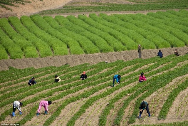 Yalnız üst düzey devlet görevlileri, spor grupları ve benzer statüde olanlar ülke dışına çıkabiliyor.