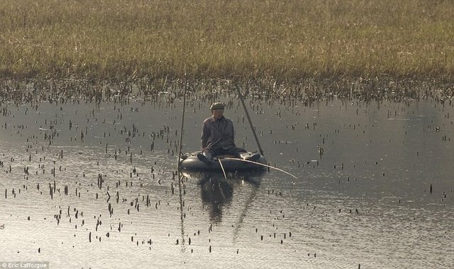 Aynı şekilde, evlenmede ve ev sahibi olmada da Songbun sistemi en önemli etken. Kendisinden daha düşük puanlı biriyle evlenen kişinin kendisinin ve çocuğunun da puanı düşüyor.