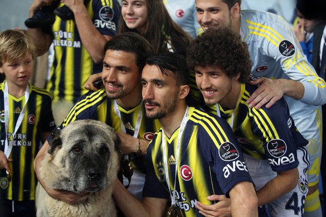 Sarı-lacivertliler, çubuklu formalarıyla kupalarını almak için sahaya çıktı.