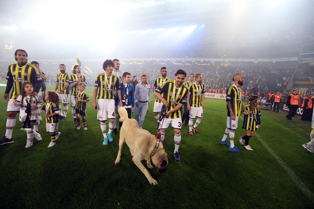 Fenerbahçe Şükrü Saracoğlu Stadı'ndaki kutlamalarda, yapılan anonsun ardından tribünler yoğun bir tezahürata başlarken, sarı-lacivert ışık şovları ve yakılan meşaleler geceye renk kattı. -