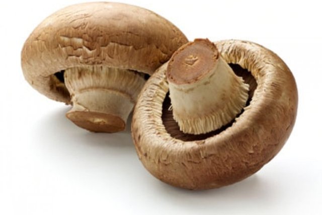 Yağsız hindi eti gibi yüksek protein ve düşük yağ içeren menülere dahil edildiğinde hafif ve besleyici bir öğünün yapı taşlarından biri oluverirler.