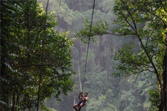 - The Gibbon Experience Ağaç Evleri -  - Laos'ta yer alan tesis doğaseverlere hitap ediyor.