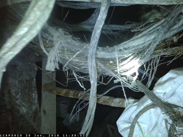 Mahkeme ve bilirkişi heyetiyle birlikte ocağa giren mağdur ailelerin avukatlarının karşılaştıkları bu manzara karşısında, şaşkınlık, korku ve büyük üzüntü yaşadıkları belirtildi. (DHA)