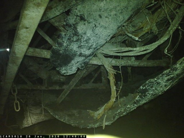 Yarın da yeniden görülmeye devam edilecek duruşmalarda, bu kez, mağdur ve sanık avukatlarının istekleri doğrultusunda, facia sırasında madenden çıkartılan işçiler ile kurtarma çalışmalarına katılan işçilerin dinleneceği belirtildi. 