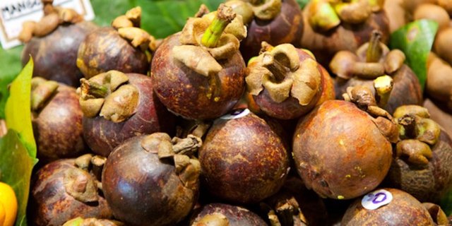 büyüme için gerekli olan protein sentezinde, karbonhidrat ve yağların vücut tarafından kullanılmasında etkisi bulunmaktadır.