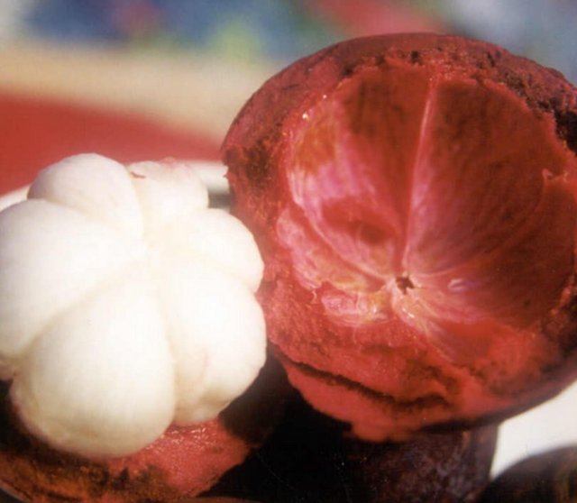 biri daima kalın, diğerleri gittikçe incelen 5-7 dilimden oluşur. -  -