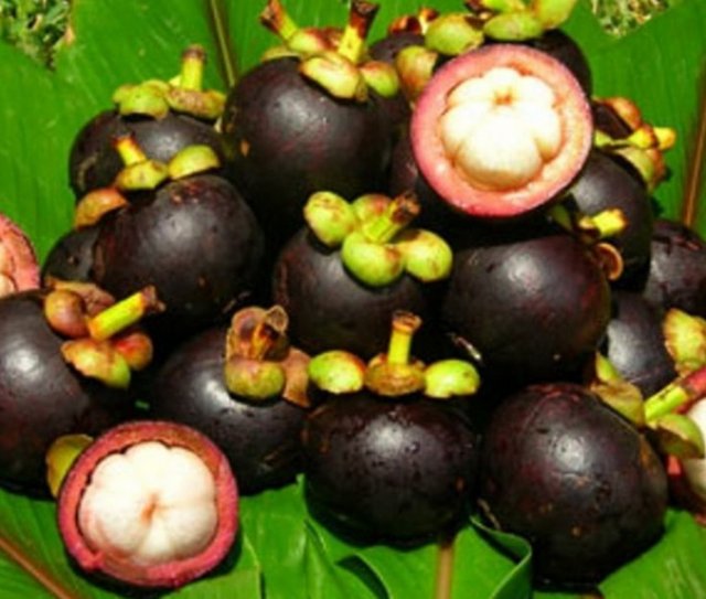 İçerdiği Demir sayesinde daha güçlü bir bünye sağlar. Özünde yer alan Fosfor sayesinde de doku tamirlerinde,