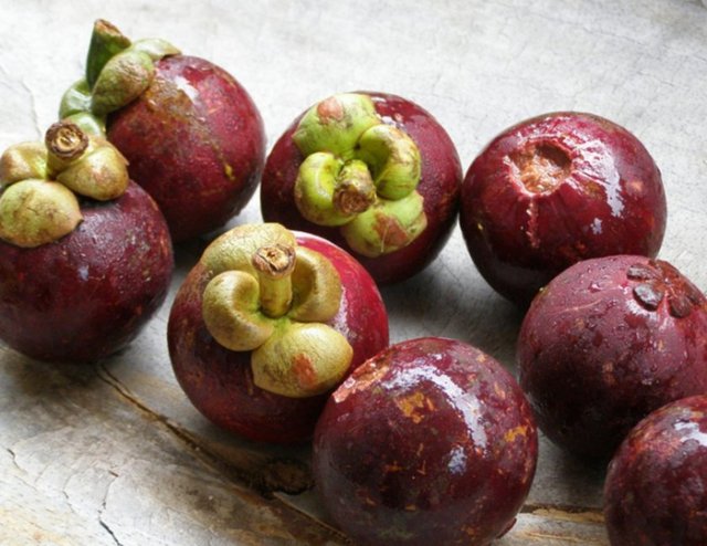 Mongosten meyvesinin dilimlerini mandalina gibi yiyebilirsiniz. Blenderden geçirip, kremalarınızda, tatlılarınızda, kokteyllerinizde vs. kullanabilirsiniz.