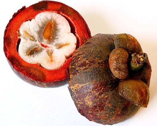 Mor renkte çok kalın bir kabuğun içindeki yenen kesmı, beyaz ve yumuşaktır.