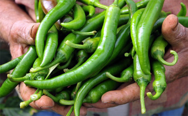 İçeriğindeki P vitamini atardamar ve toplardamar sağlığı için önemlidir. Damarların yumuşamasına ve kanamaya karşı etkilidir.