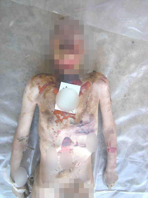 Suriye'de insan hakları ihlalleri yapıldığına yönelik kuvvetli deliller olduğunu belirterek, bunun sorumlularının yargılanması için BMGK'yı göreve çağırmıştı.