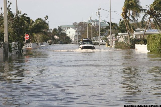 Wilma Kasırgası - 2005