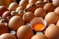 100 gramı 150 kalori olan yumurta içeriğindeki 13 gramlık protein sayesinde sizi gün boyu tok tutar.