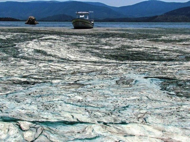 Şu anda en kötü durum ekonomisi turizme dayalı birçok işletmenin bulunduğu Kapıkırı ve Gölyaka bölgesinde. Buraların hem görüntü olarak hem de koku olarak çok kötü durumda olduğu görülüyor.  -