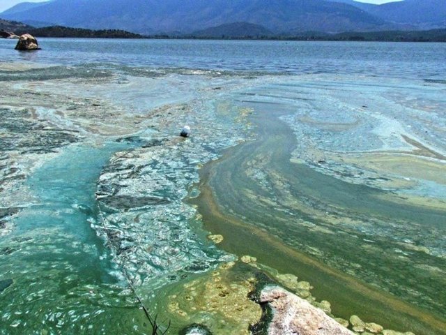 Balıkları ve beslendikleri canlıların yavrularının büyüme gelişme alanları yok olmakta, yaşanamaz hale gelmektedir. Bu yıl uzmanlar-yetkililerin ülkemizde yağışların yetersiz olması nedeniyle kuraklık yaşanacağını belirtmektedirler.