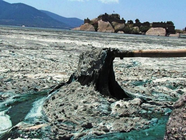 EKODOSD Başkanı Bahattin Sürücü de eskiden gölün sadece belli bölgelerinde olan kirliliğin giderek daha arttığını, Söke-Bodrum Karayolu kenarındaki bölümlerini etkilediğini söyledi.
