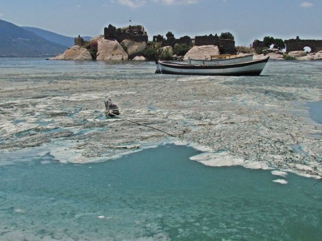 Kirliliğe katkı yapanları Bafa'ya getirerek, bu benzersiz güzelliği ne hale getirdiklerini, buradaki ekosistemi nasıl bozduklarını, göl kıyısında yaşayan insanların yaşamlarını nasıl etkilediklerini yerinde göstermek gerekir diye konuştu. DHA