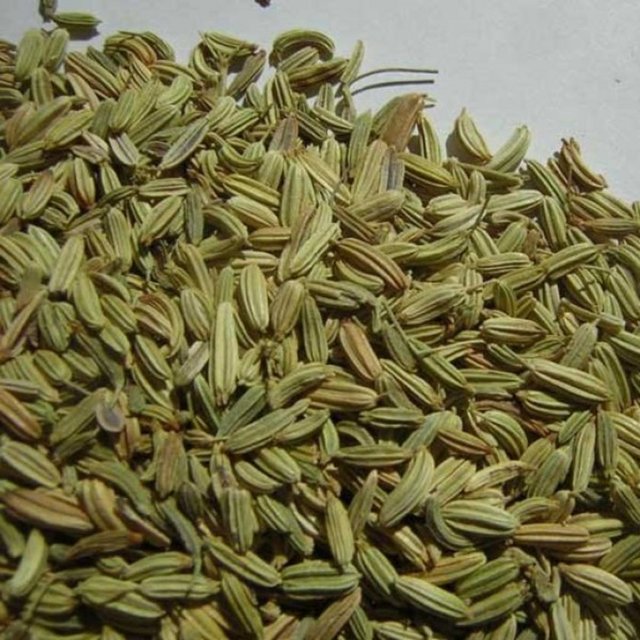 Rezene sindirim ve bağırsak şikayetleri tedavisinde iyileştirmeye yardımcı oluyor.