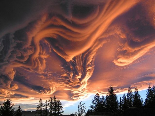 20. Asperatus Bulutları (En nadir doğa olayı)Sona kalan resmimin ise gördükleriniz arasında en çekingen olanı. Dünyalılar olarak biz onu sadece bir kere kaydedebildik. Bu ilginç fenomen yalnızca 2009 yılında, Yeni Zelanda'da görüldü. Neden ve nasıl ortaya çıktıkları konusunda elimizde pek bir bilgi yok. Ama bu yine de görüntüye uzun uzun bakıp, doğa ananın ne kadar başarılı bir sanatçı  olduğunu takdir etmemize engel değil.