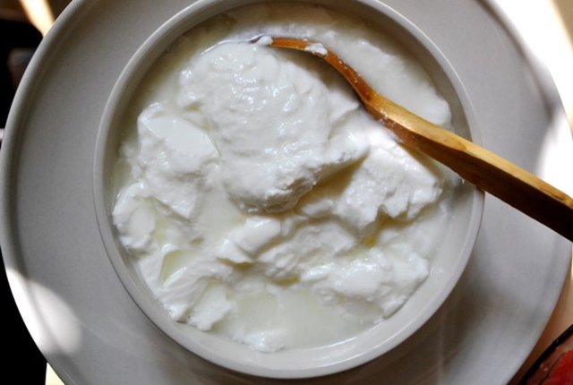 yoğurdun kilo kontrolü üzerindeki olumlu etkisinin birçok kişinin yoğurdu yemeklerden sonra tüketmesine ve bu sayede tatlı yemekten kaçınmasına ya da yoğurdun içinde bulunan bakterilere bağlı olabileceğini düşündüklerini söyledi.