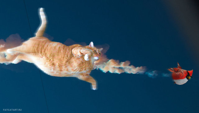 Bu fikri benimseyen Rus sanatçı başlıyor çalışmaya... Ünlü sanat eserlerinin büyük kopyalarını basarak, secimli kedi Zarathustra'nın fotoğraflarını ustaca içine yerleştiriyor.