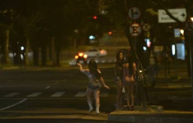 Seks işçiliği yasal hale geldikten sonra hükümete ait iş bulma sitelerinde seks işçisi olarak çalışmak isteyenlere adım adım yapacakları işi anlatan tavsiyeler bile veriliyordu.