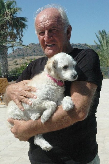 ALİ ŞEN
