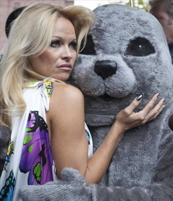 Pamela Anderson -  - 'Sahil Güvenlik' dizisi ve Playboy'a verdiği pozlarla yıldızı parlayan Pamela Anderson'ın hayatını ise bir tişört değiştirdi. Anderson öğrenciyken Lions takımının bir maçına gitti...