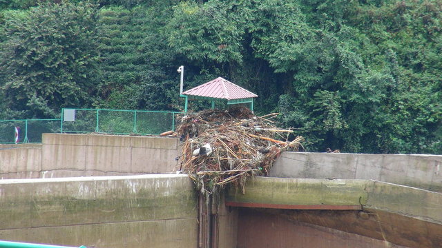 Rize'nin Muradiye Beldesi ve Güneysu İlçesi'nde etkili olan sağanak yağış sonucunda Salarha Deresi bazı bölümlerde taştı. -