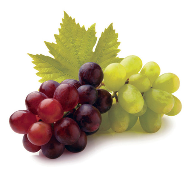 Bu anlamda hem kan yapıcı hem de hararet giderici özelliği oluyor.  -