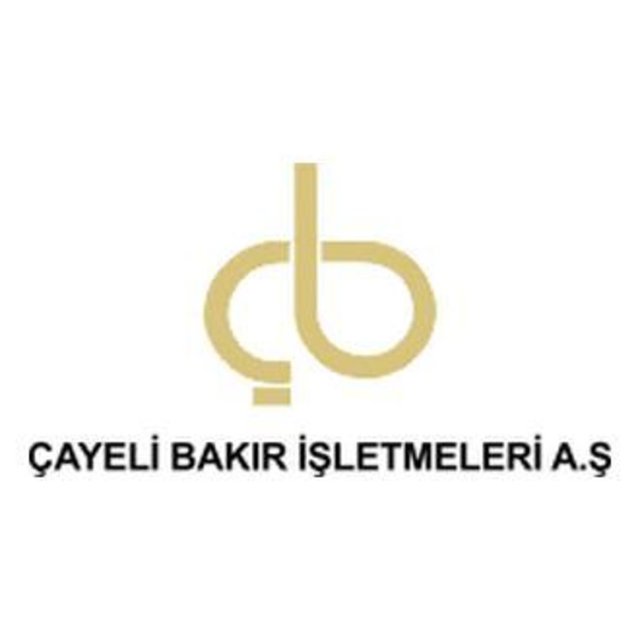 32- ÇAYELİ Bakır - Tahakkuk eden vergi: 68.733.511 TL