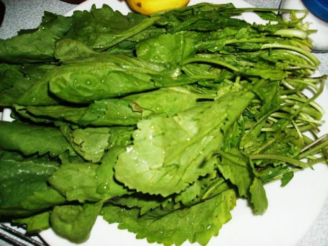 - Tere 100 üzerinden 100 alarak en faydalı sebze seçildi. -