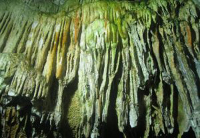 Trabzon Kültür ve Turizm Müdürü İsmail Kansız, mağaranın bulunduğu bölgenin birçok medeniyete ev sahipliği yaptığını belirterek, "Çalköy'ün kuruluş tarihi kesin değil...