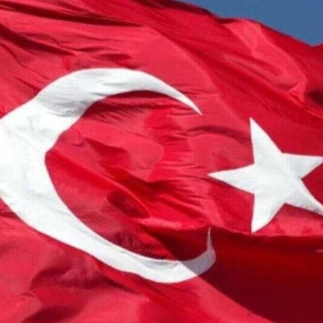 OKTAY KAYNARCA - Tek başına kalsak bile