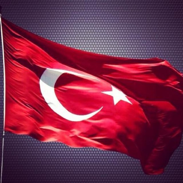 ESRA EROL - Bayrak, bir ulusun onurudur. Ne olursa olsun yerlere serilemez, çiğnenemez ve indirilemez!!!!