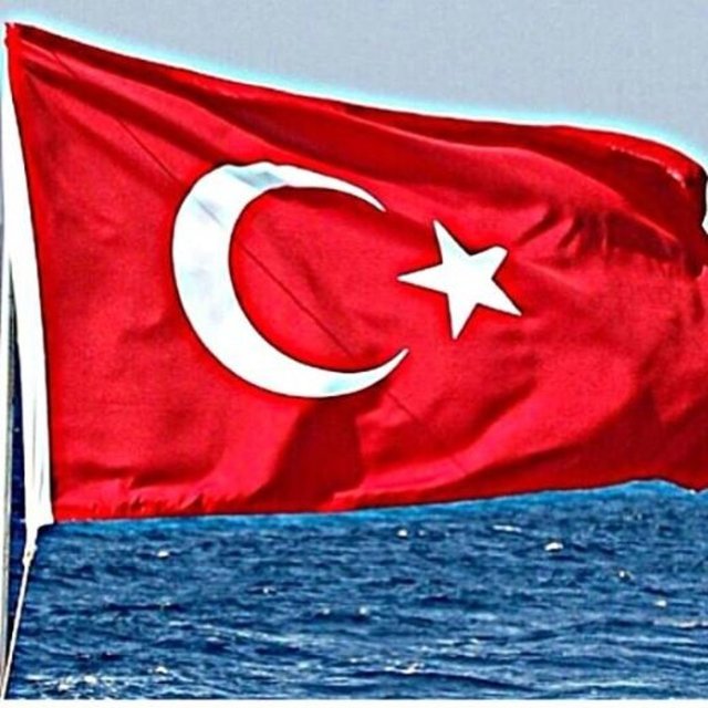 YELİZ YEŞİLMEN - Şu renge, asalete, dalgalanmaya güzelliğe bak be