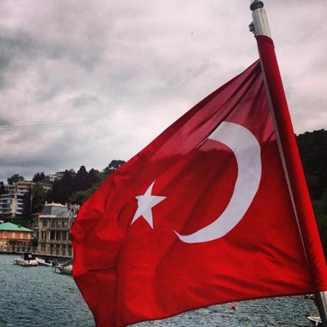 ŞEBNEM ÇAPA - İlelebet göklerdesin