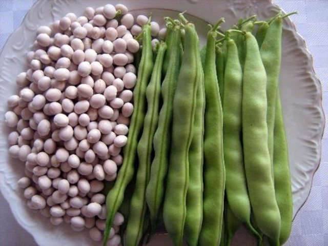 Fasulye, Nohut: Hem ucuz, hem protein ve fiber zengini. Skinnytaste yemek tarifleri sitesinin kurucusu Gna Homolka'nın favorisi.