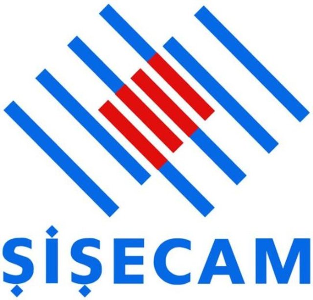 21- ŞİŞE CAM - 385 milyon dolar