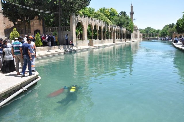 Hz. İbrahim'in doğduğu ve dönemin hükümdarı Nemrut tarafından ateşe atıldığı yer olarak rivayet edilen Balıklıgöl'de, Şanlıurfa Emniyet Müdürlüğü'ne bağlı "balık adamlar" tarafından temizlik yapıldı.