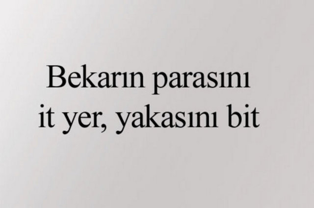 AYKIRI ATASÖZLERİAtalarımız gün gelmiş güzel söylemiş gün gelmiş sözünü sakınmamış...