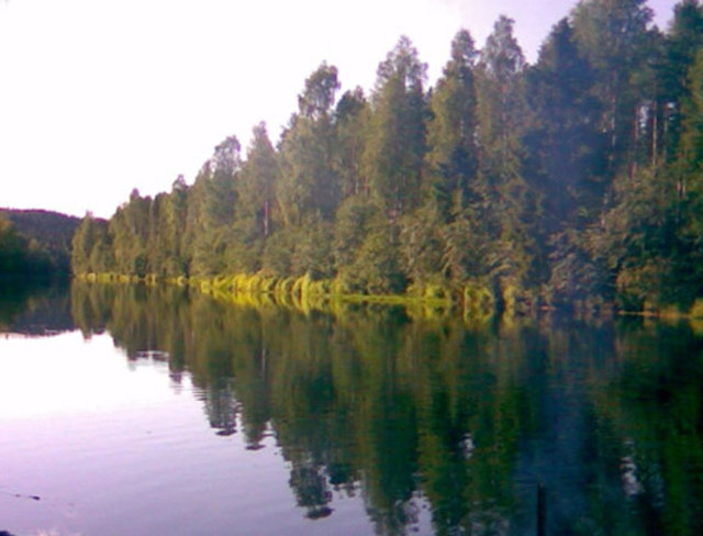 İşte isterseniz 1 euro ya arsa sahibi olabileceğiniz Tohmajärvi kasabasından kareler... -