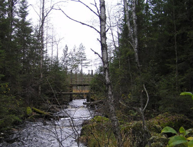 Finlandiya'nın kuzeyinde Karalen bölgesinde bulunan ve nüfus azalışını önlemeye çalışan Tohmajärvi Belediyesi, kasabasındaki hazine arazileri bir euroya satışa çıkardı. -