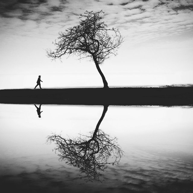 Fotoğraflar, şirin hayvanlardan, nefes kesen manzara fotoğraflarına ve ilgi çekici estetik mimari şekillerine geniş bir aralıktaydı. -  - COCU LIU Cocu Liu, Amerika – Ağaçlar dalında 2'nci