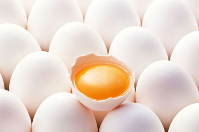 - İçeriğindeki yüksek oranda protein bulunan yumurta aynı zamanda A ve B 12 vitamini yönünden zengindir.