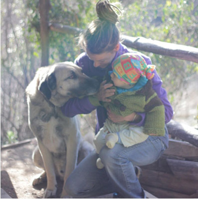 Dolap gibi bir şey yaptık, soğutuyor. Bir de yemekleri günlük tüketiyoruz. İnsanlar eskiden nasıl yaşamışlar, formülü sen de buluyorsun."