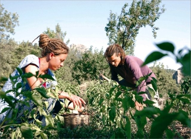 Ama zamanla tek tek bütün köylüleri kapı kapı dolaşıp "bizim niyetimiz budur" diyen gençleri görünce, onlar da tanıyıp sevmişler bu iki İstanbullu genci...