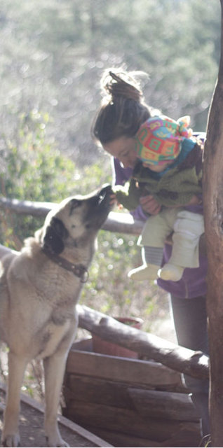 Tabii ki çok kolay olmadı  alışmaları: "Burası 15 dönümlük bir arazi. Ama geldiğimizde resmen orman olmuştu.
